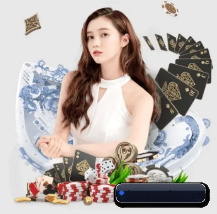 会员数突破百万